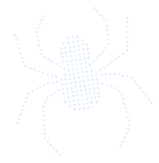 Spider illustration